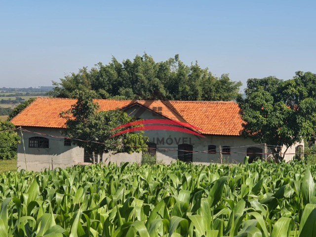 Fazenda à venda com 4 quartos - Foto 10