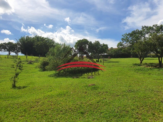 Fazenda à venda com 4 quartos - Foto 17