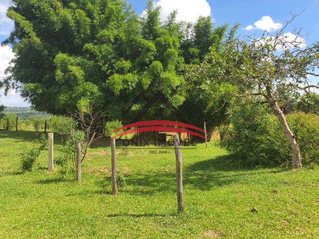 Fazenda à venda com 4 quartos - Foto 37