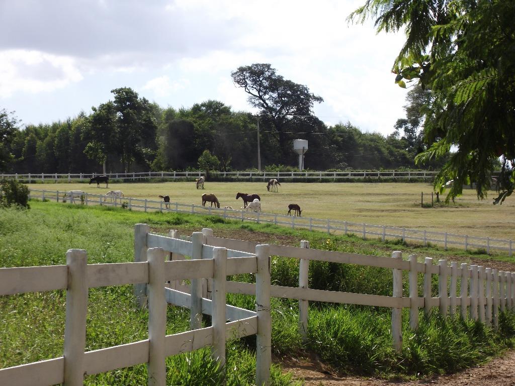 Haras e Área Rural Padrão à venda, 327600m² - Foto 12