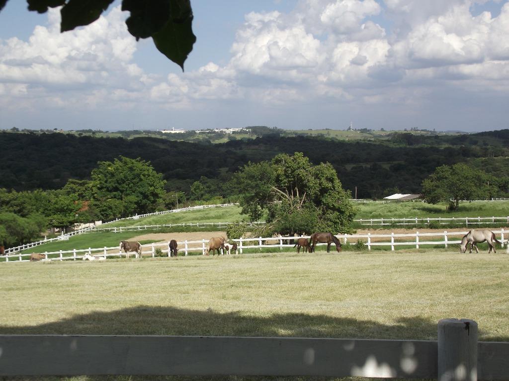 Haras e Área Rural Padrão à venda, 327600m² - Foto 16