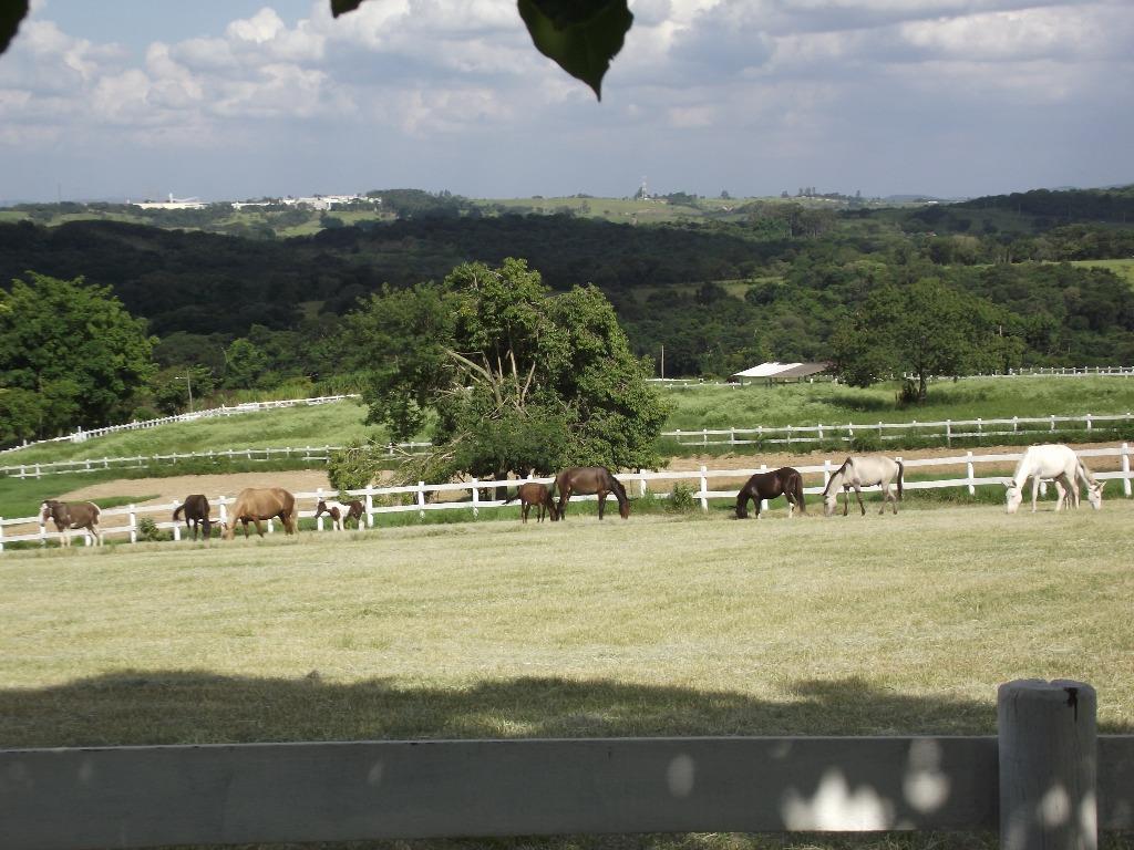 Haras e Área Rural Padrão à venda, 327600m² - Foto 1