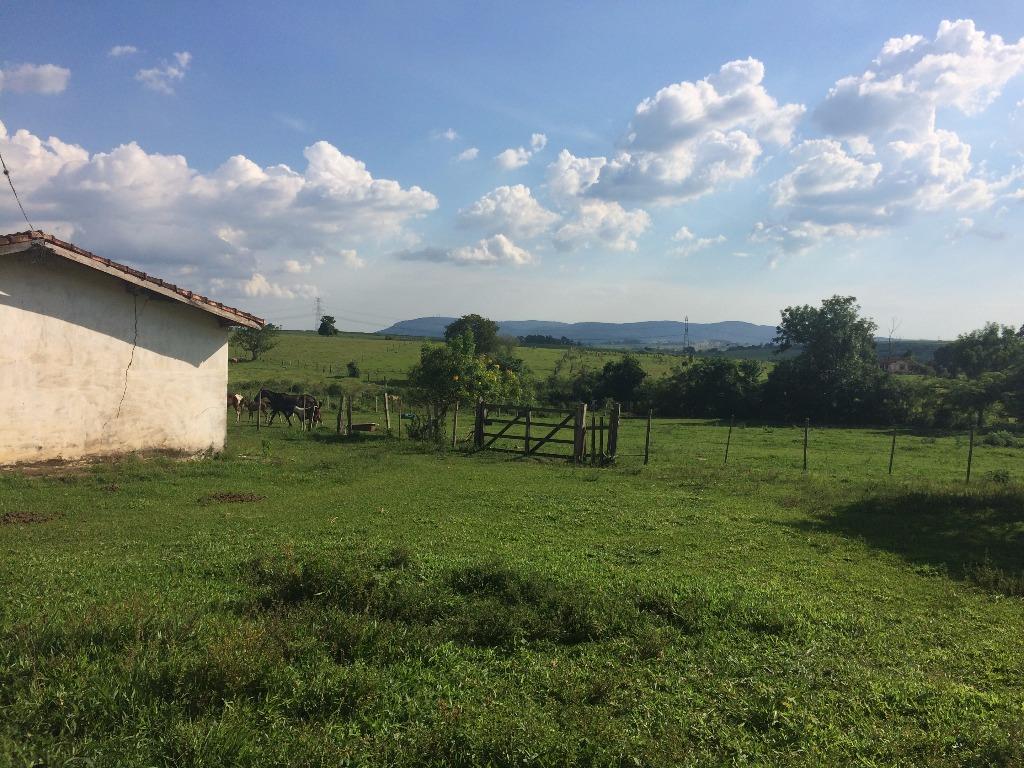 Haras e Área Rural Padrão à venda, 84700m² - Foto 9