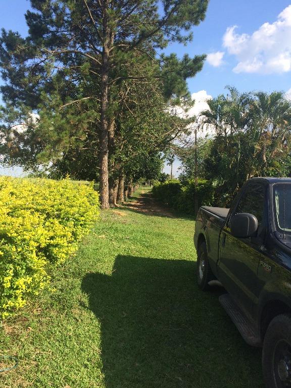 Haras e Área Rural Padrão à venda, 84700m² - Foto 1