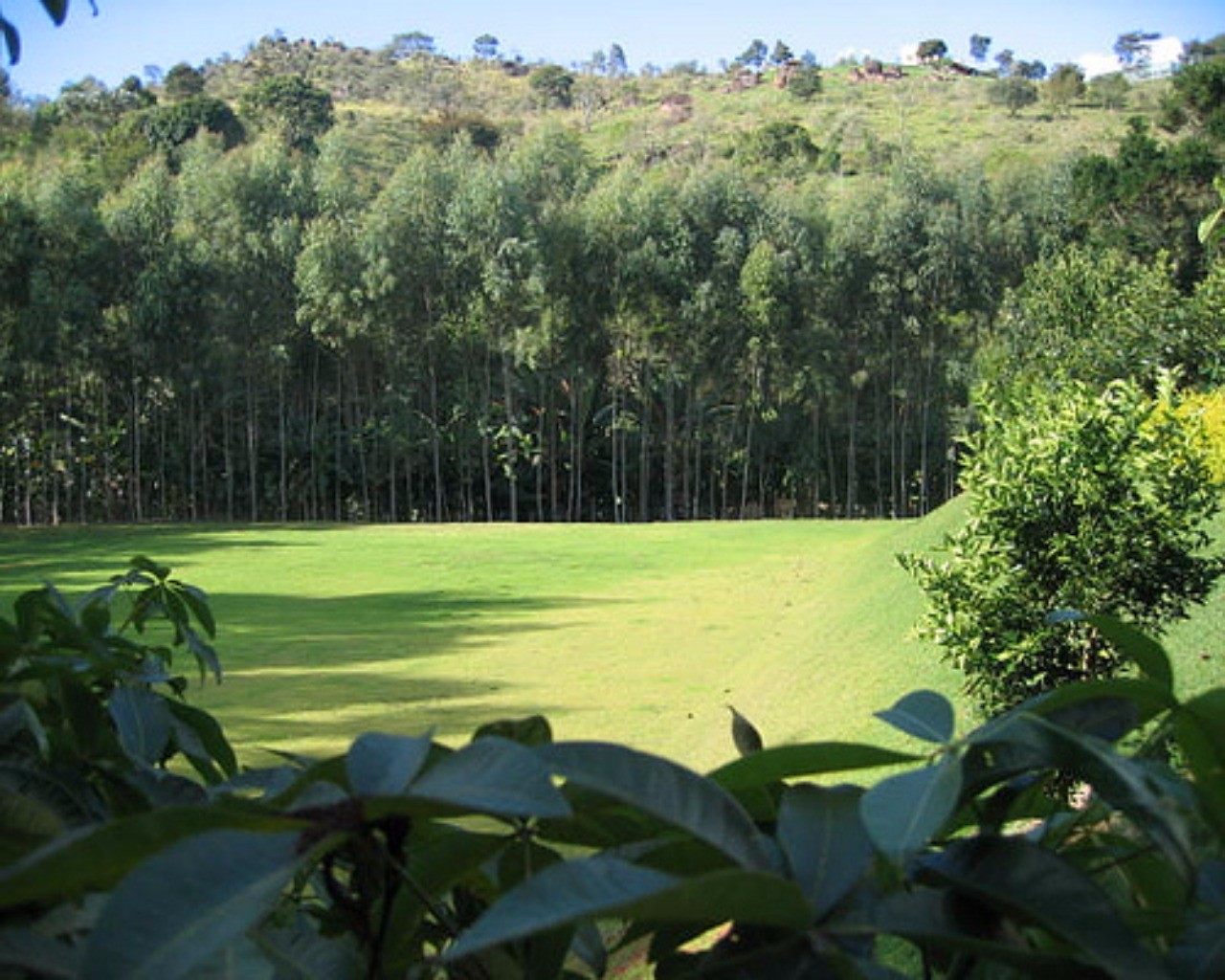 Chácara à venda com 6 quartos, 30000m² - Foto 28