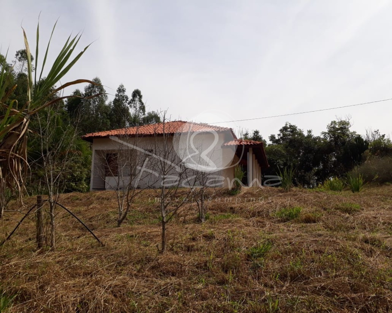 Fazenda à venda com 2 quartos, 800m² - Foto 9