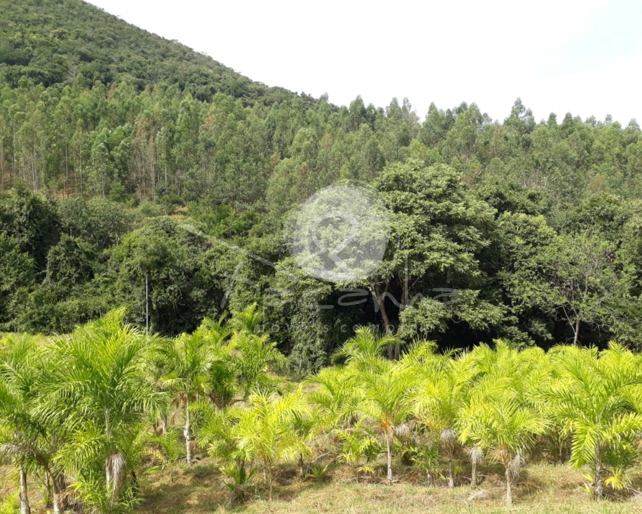 Fazenda à venda com 2 quartos, 800m² - Foto 2