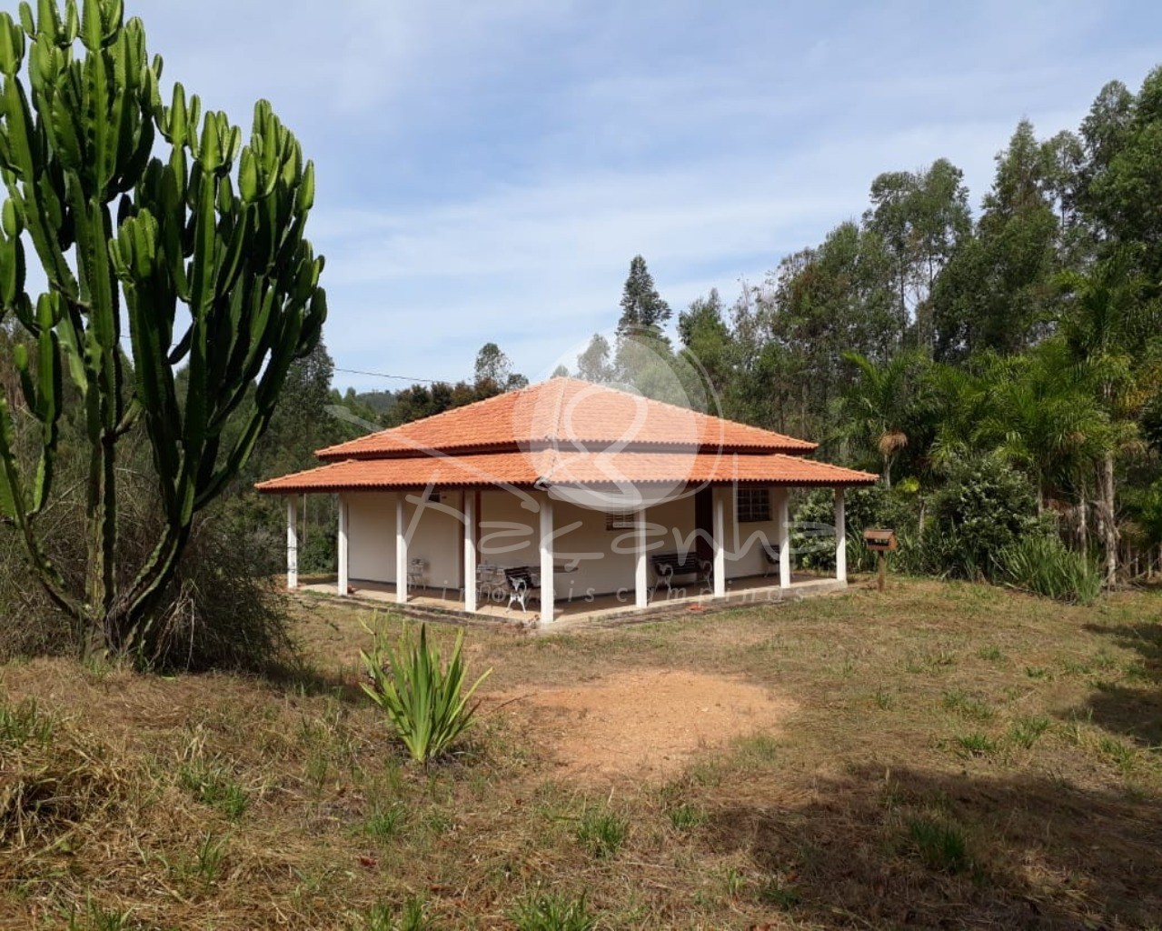 Fazenda à venda com 2 quartos, 800m² - Foto 6