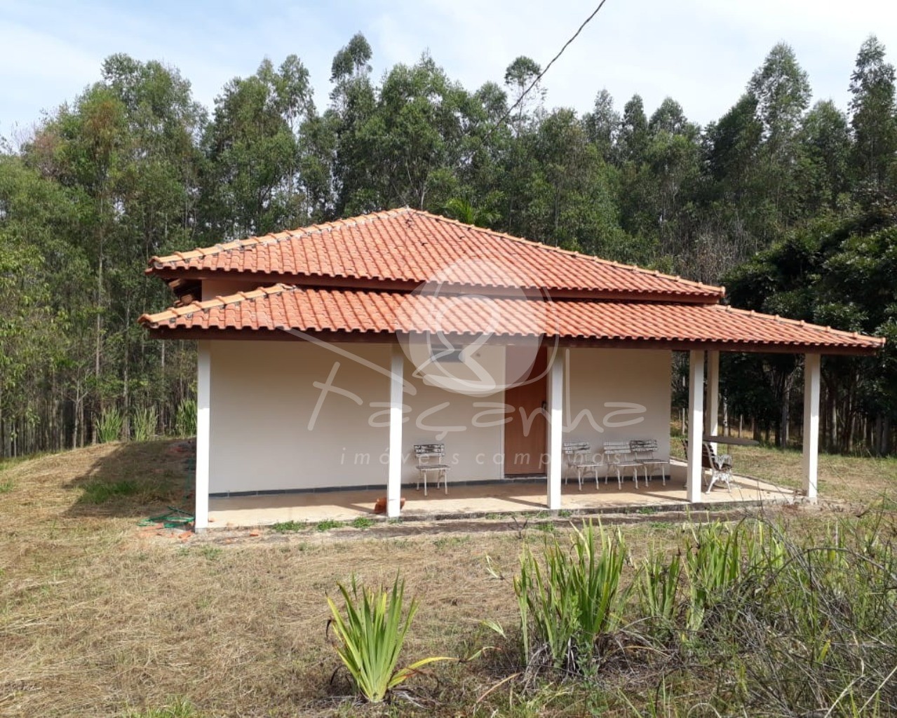 Fazenda à venda com 2 quartos, 800m² - Foto 7