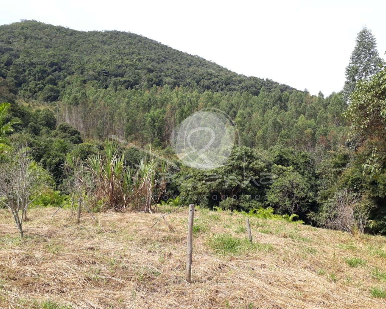 Fazenda à venda com 2 quartos, 800m² - Foto 12