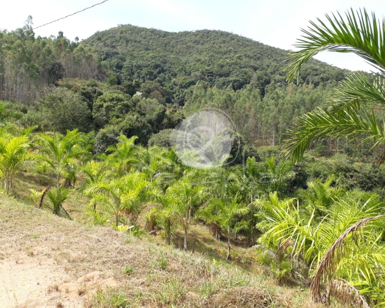 Fazenda à venda com 2 quartos, 800m² - Foto 13