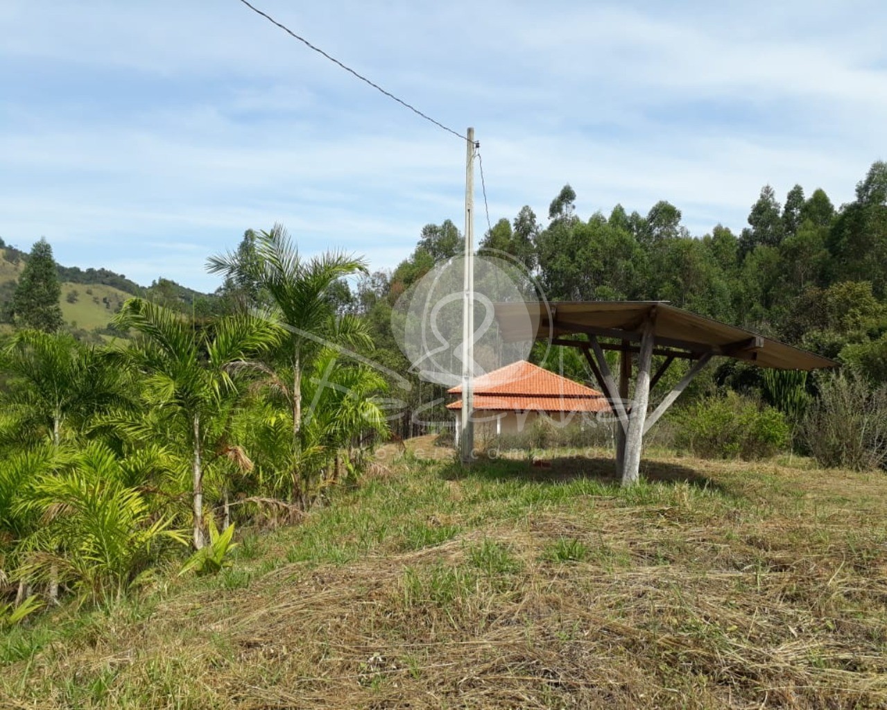 Fazenda à venda com 2 quartos, 800m² - Foto 11