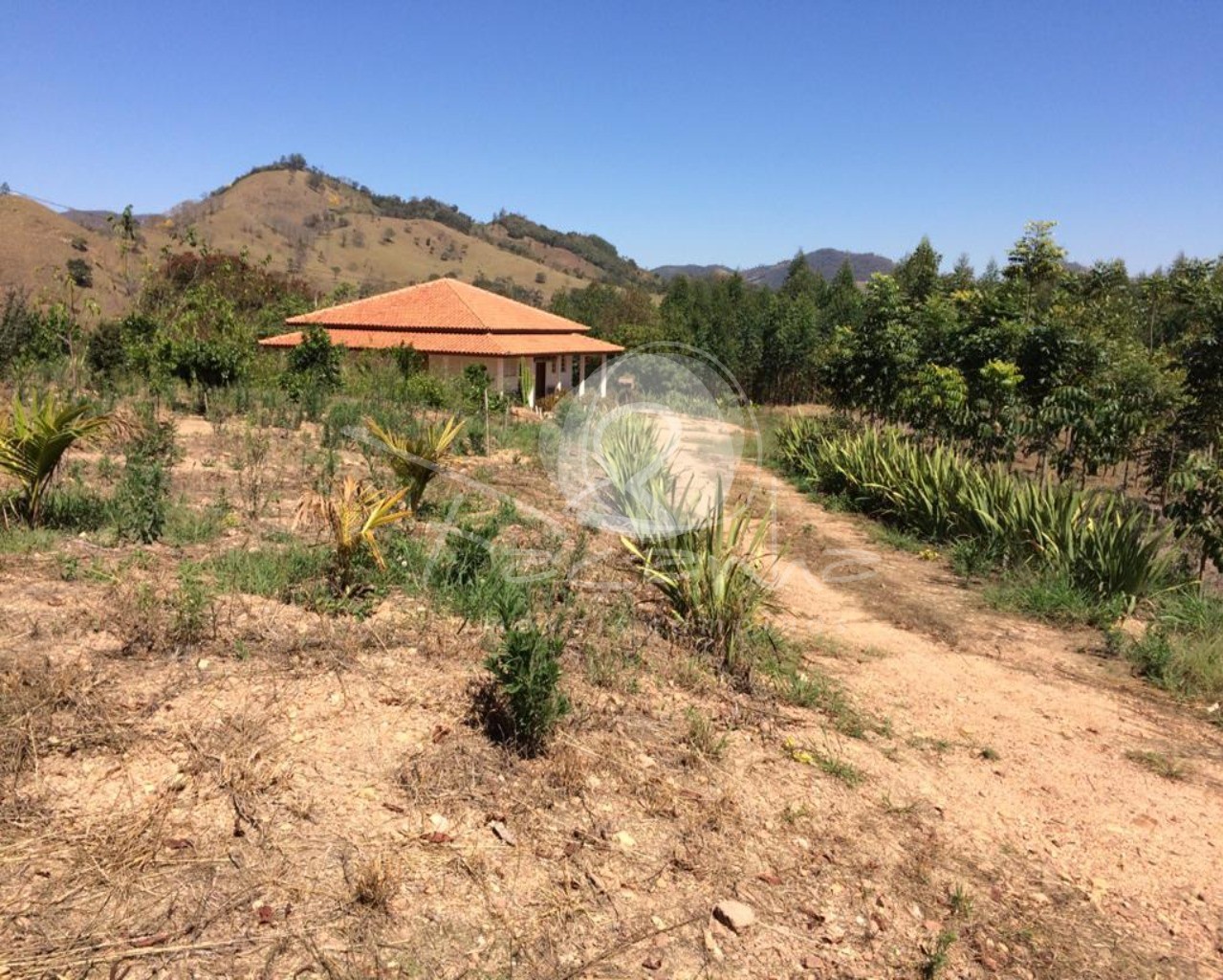 Fazenda à venda com 2 quartos, 800m² - Foto 10