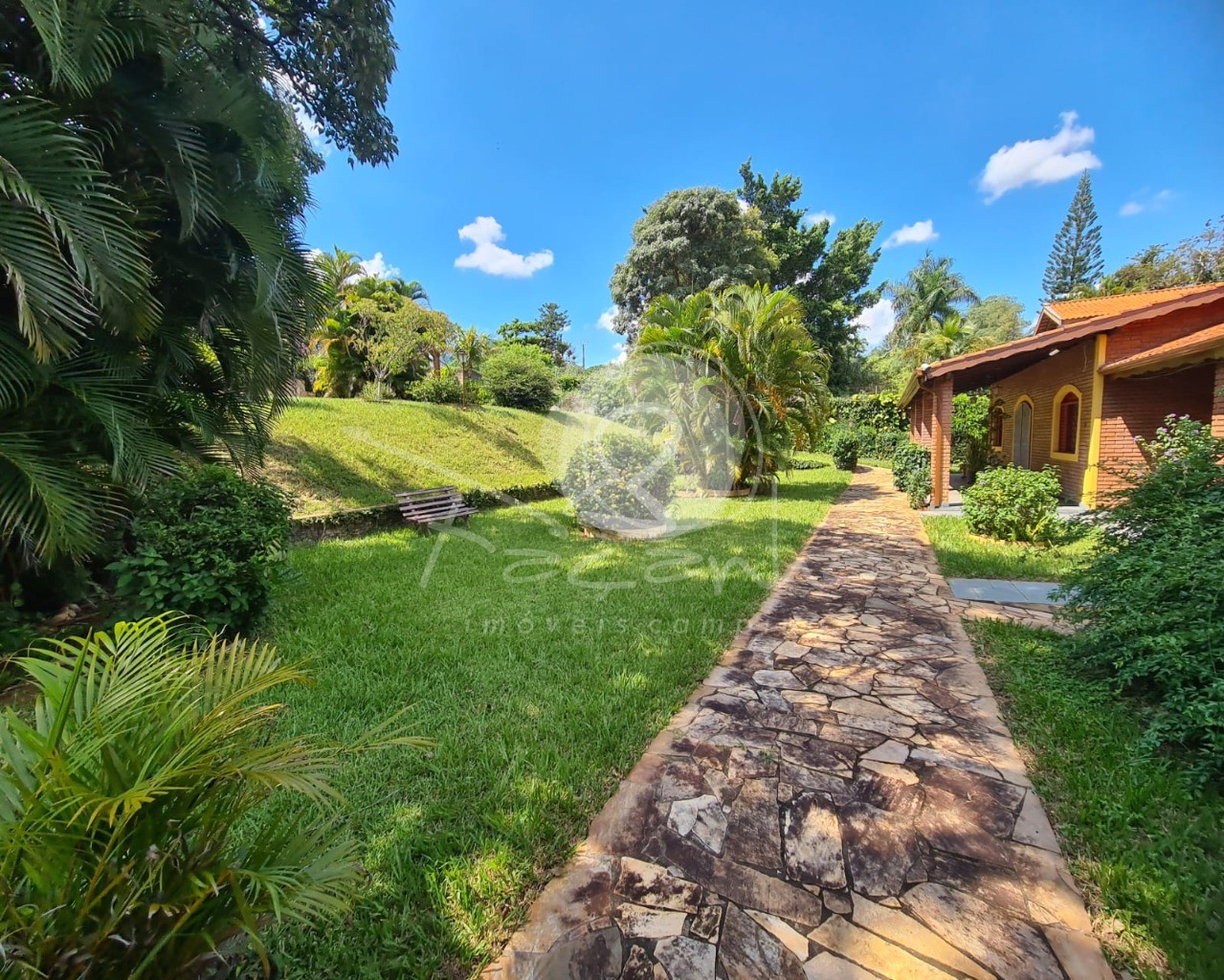 Fazenda à venda com 3 quartos, 250m² - Foto 40