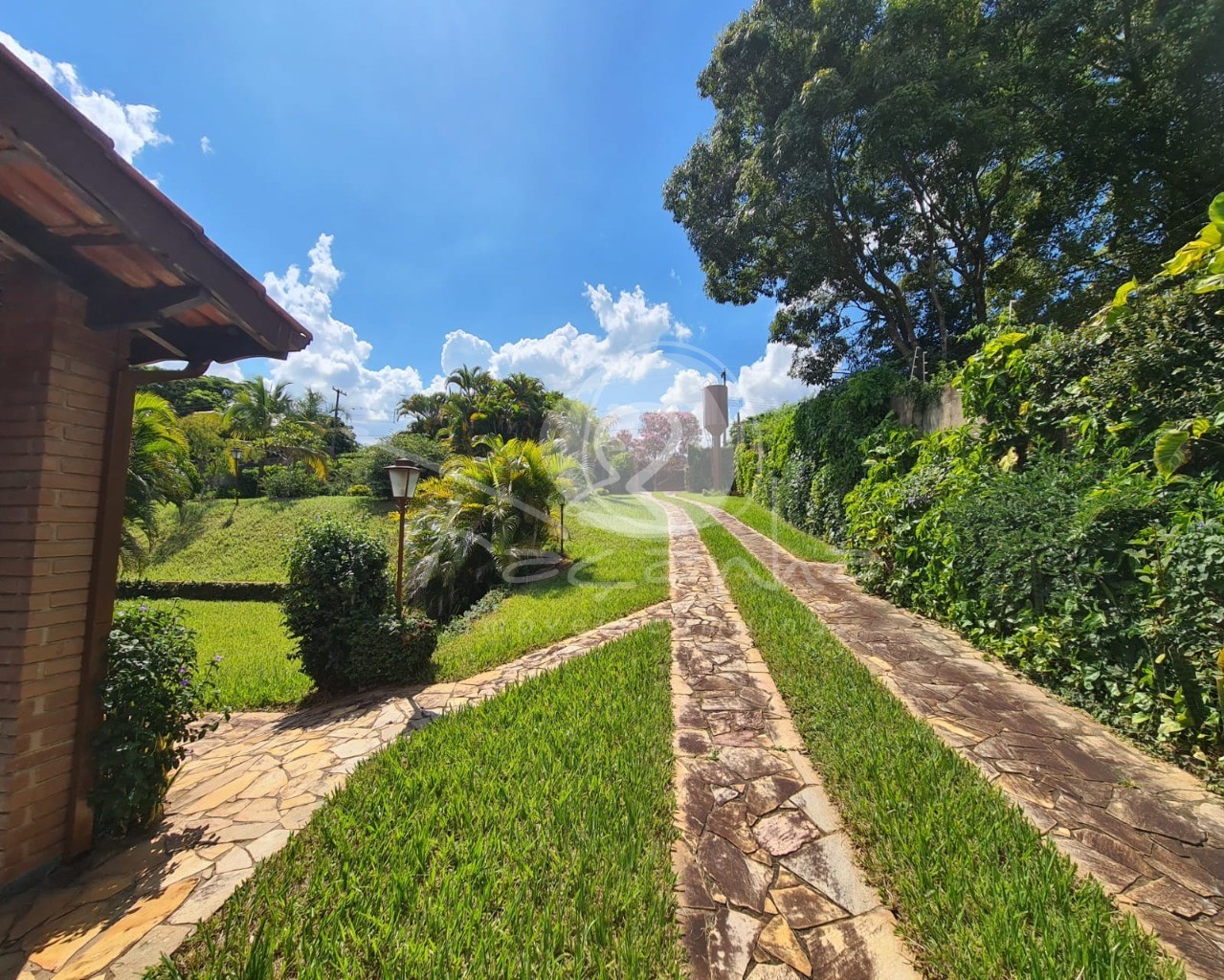 Fazenda à venda com 3 quartos, 250m² - Foto 42