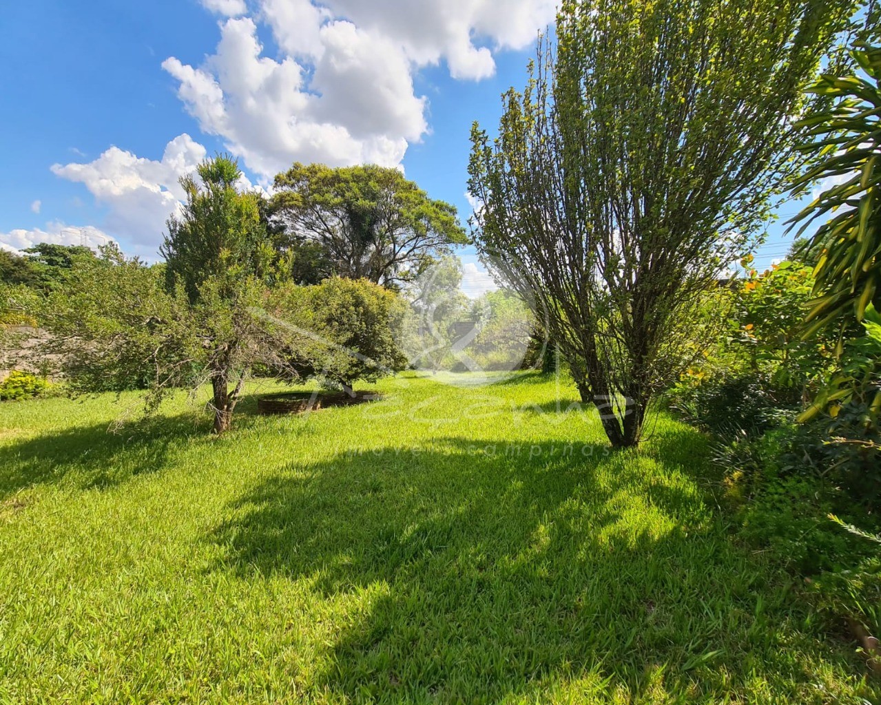 Fazenda à venda com 3 quartos, 250m² - Foto 49