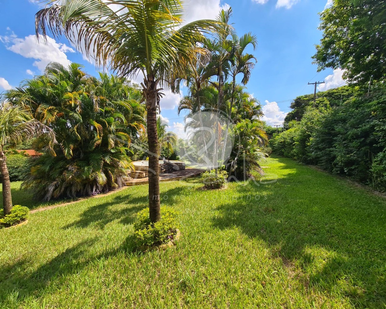 Fazenda à venda com 3 quartos, 250m² - Foto 31