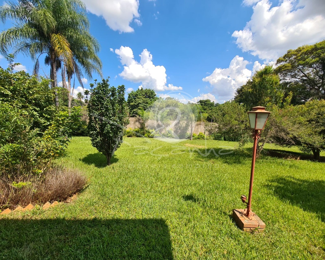 Fazenda à venda com 3 quartos, 250m² - Foto 50