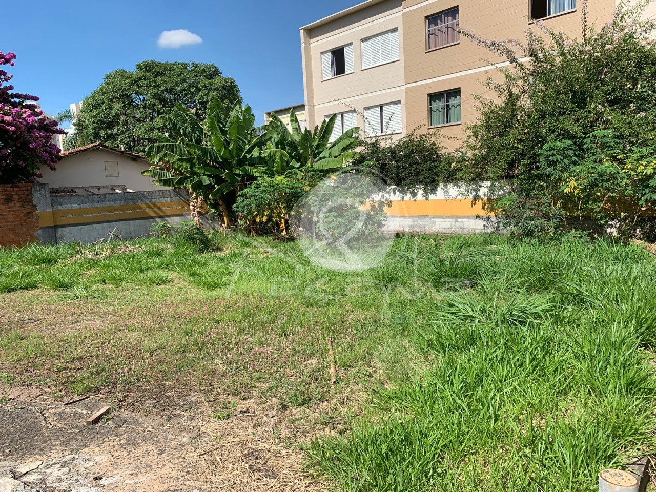 Prédio Inteiro à venda e aluguel, 1032m² - Foto 21