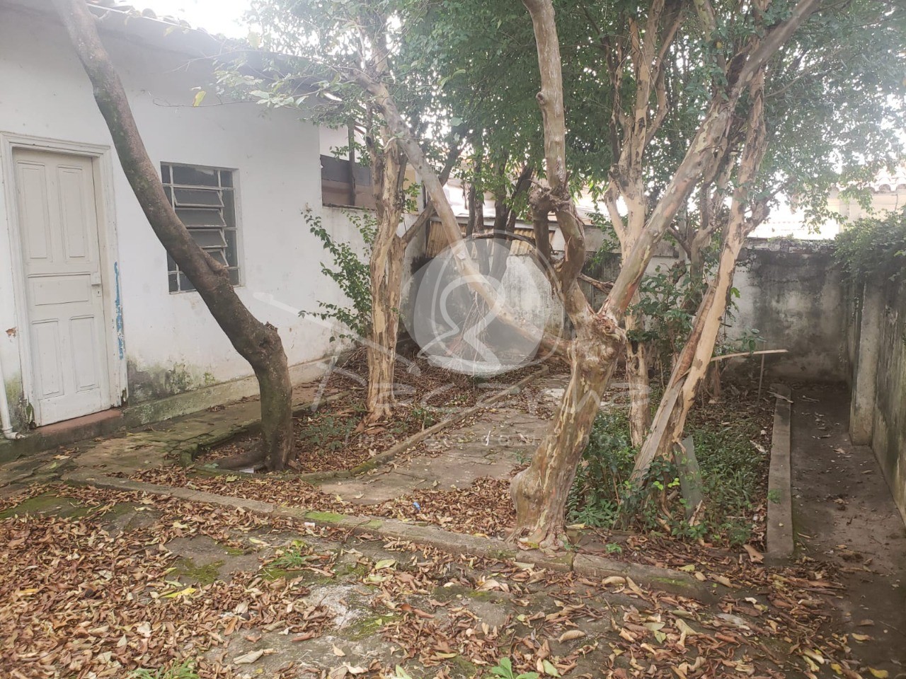 Prédio Inteiro à venda com 3 quartos, 120m² - Foto 10