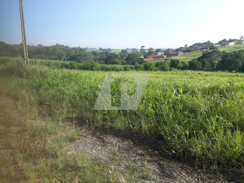 Terreno à venda, 26000m² - Foto 3