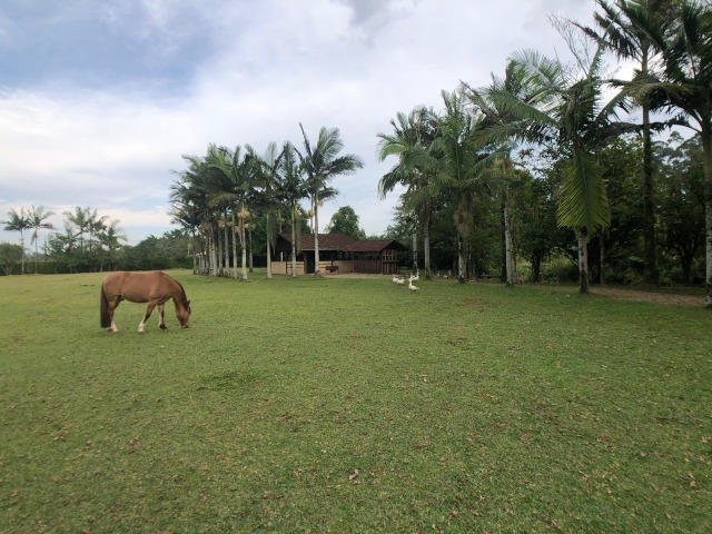 Fazenda à venda com 1 quarto, 22422m² - Foto 23