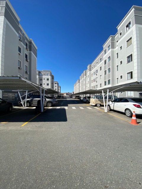 Apartamento, 2 quartos, 45 m² - Foto 2