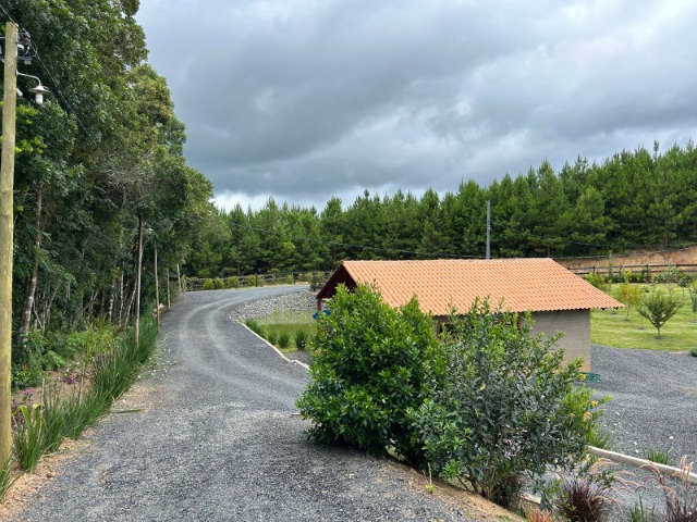 Fazenda à venda com 3 quartos, 10024m² - Foto 7