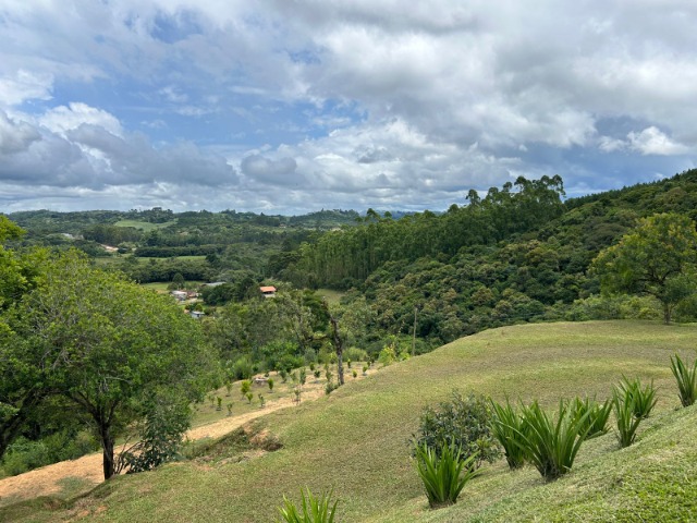 Fazenda à venda com 3 quartos, 10024m² - Foto 9