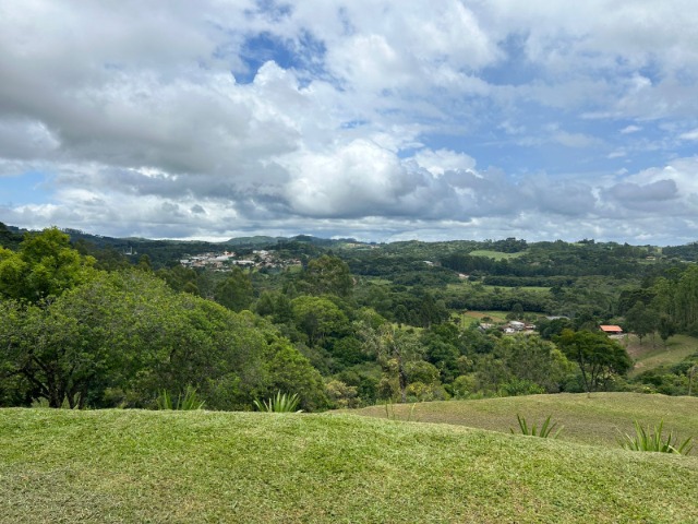 Fazenda à venda com 3 quartos, 10024m² - Foto 8