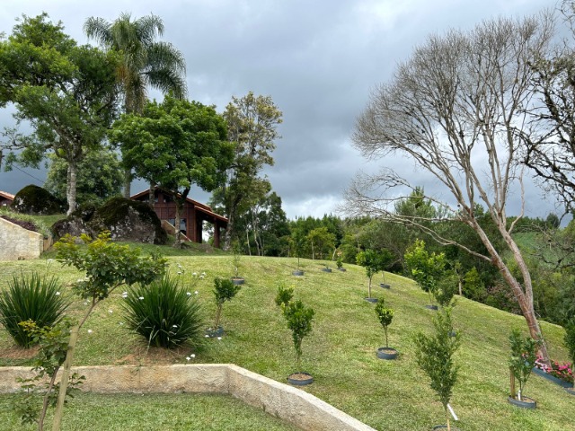 Fazenda à venda com 3 quartos, 10024m² - Foto 10