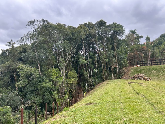 Chácara, 6 quartos, 1 hectares - Foto 59