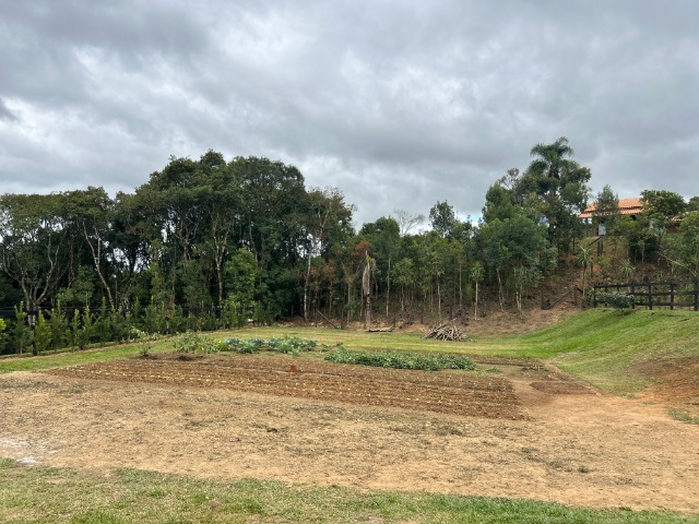 Chácara, 6 quartos, 1 hectares - Foto 14