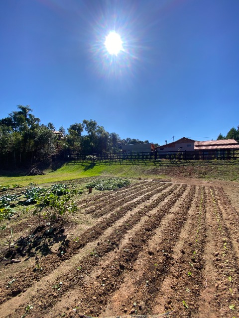 Chácara, 6 quartos, 1 hectares - Foto 74