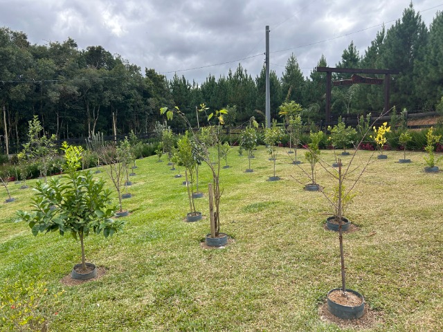 Chácara, 6 quartos, 1 hectares - Foto 57