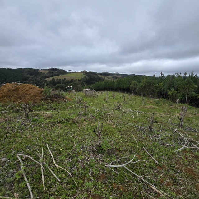 Terreno, 26852 m² - Foto 5