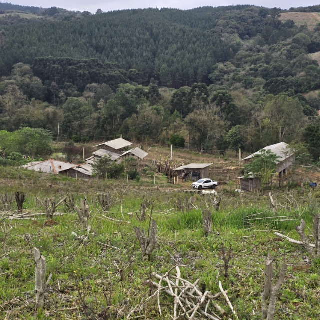 Terreno, 26852 m² - Foto 9