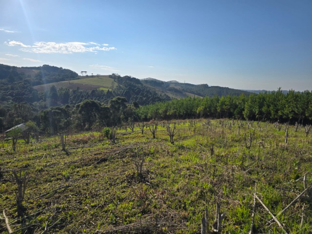 Terreno, 26852 m² - Foto 1