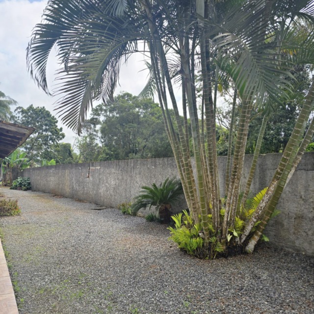 Casa, 3 quartos, 140 m² - Foto 13