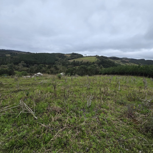 Terreno, 26852 m² - Foto 6