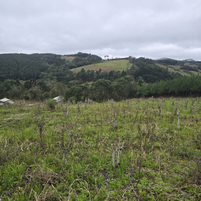 Terreno, 26852 m² - Foto 14