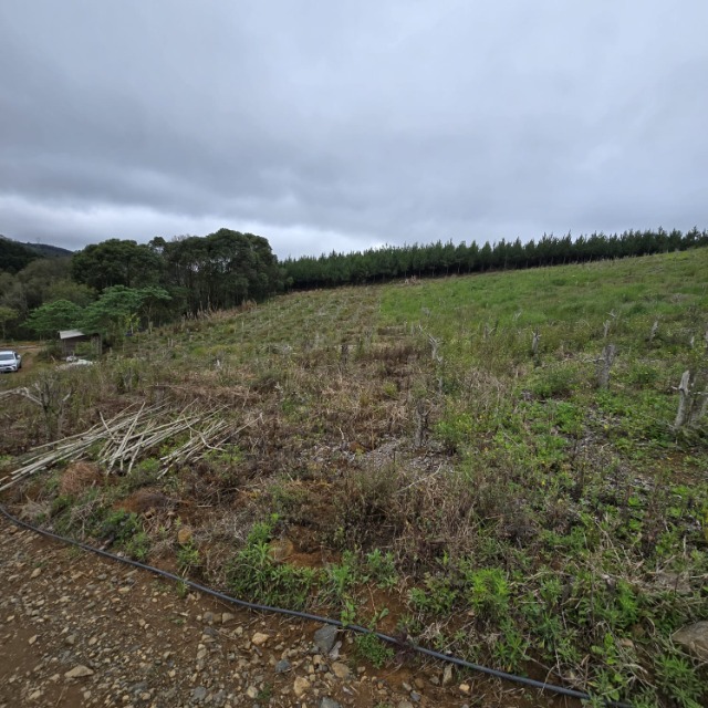 Terreno, 26852 m² - Foto 4