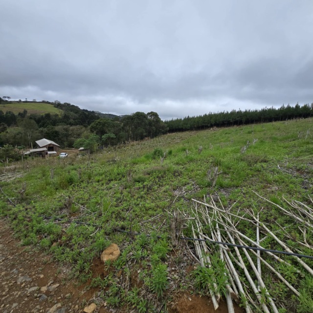 Terreno, 26852 m² - Foto 12