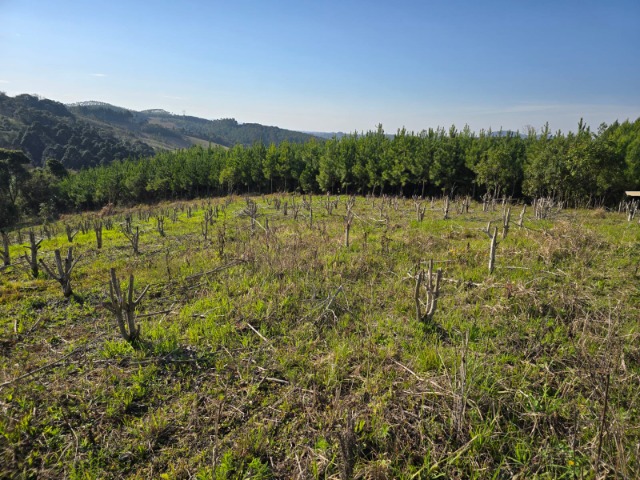 Terreno, 26852 m² - Foto 2