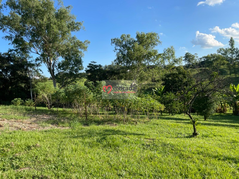 Fazenda à venda com 4 quartos - Foto 23