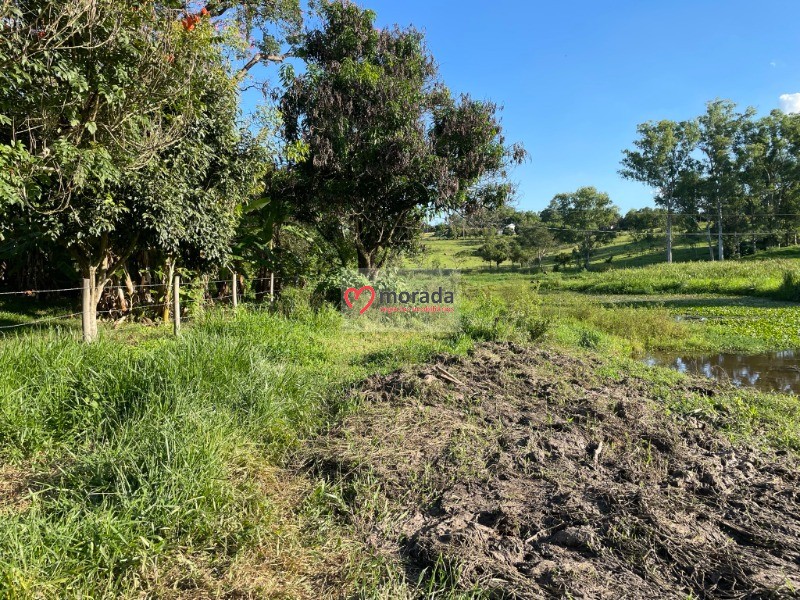 Fazenda à venda com 4 quartos - Foto 19