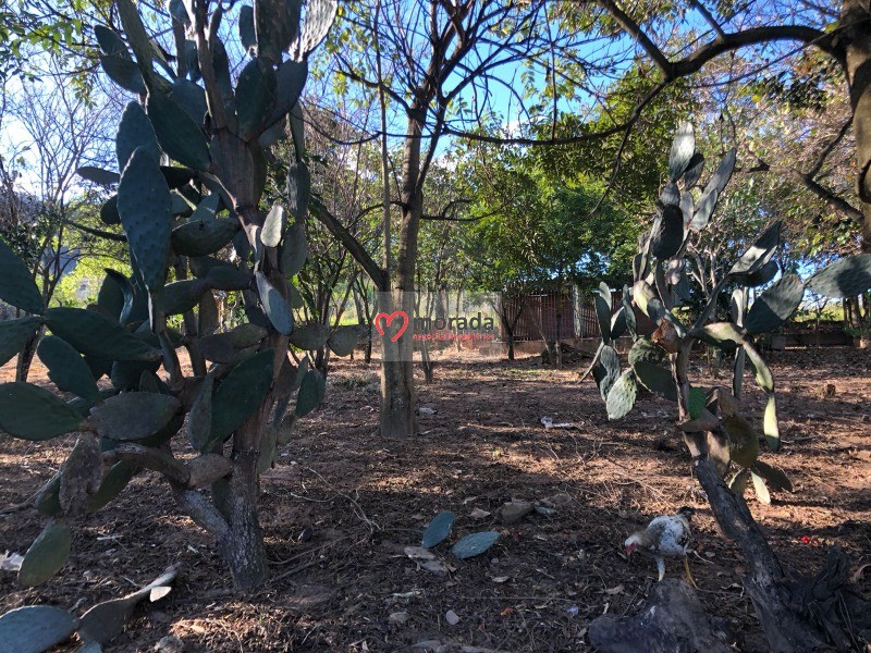 Fazenda à venda com 5 quartos, 303m² - Foto 61