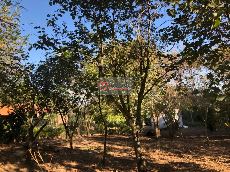 Fazenda à venda com 5 quartos, 303m² - Foto 65