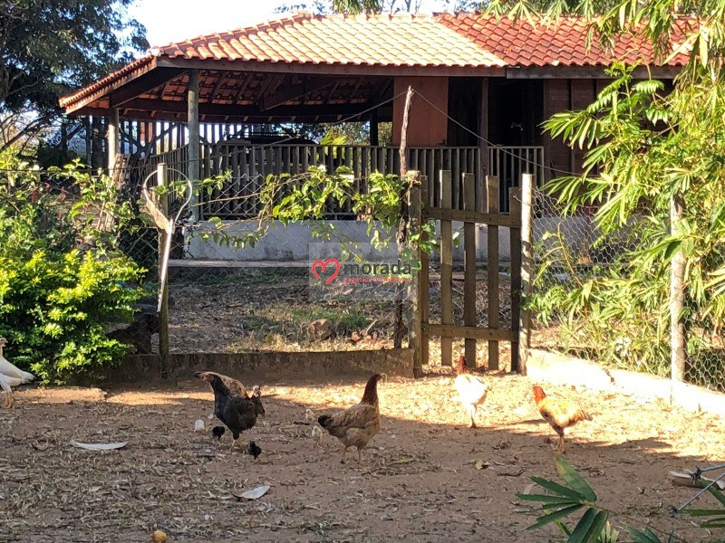 Fazenda à venda com 5 quartos, 303m² - Foto 58