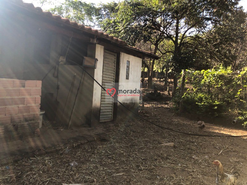 Fazenda à venda com 5 quartos, 303m² - Foto 39